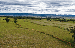 823 Eulourie Road, Bingara, NSW 2404