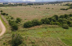 Lupton Road, Beaudesert, Qld 4285