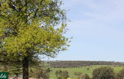 Lot 102, Barrel Road, Drouin, Vic 3818