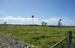 39 Lavis Lane, Williamtown, NSW 2318