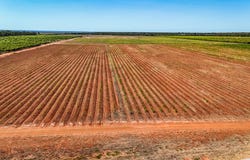0 Foxalicious Farm, Katherine, NT 0850
