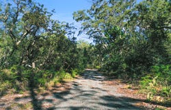 Lot 11, Nardoo Street, Pindimar, NSW 2324
