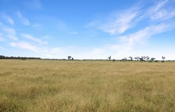 Amaroo Drive, Moree, NSW 2400