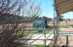 8 Cunningham Street, Bingara, NSW 2404