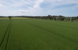 0 Marrar South Road, Yathella, NSW 2650