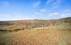 1188 Caddigat Road, Adaminaby, NSW 2629