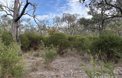 5401 Coleraine-Edenhope Road, Harrow, Vic 3317