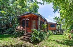 6 Webb Court, Bingil Bay, Qld 4852