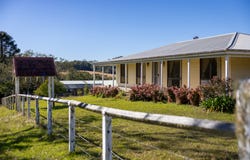 60 Sandy Knob Road, Elands, NSW 2429