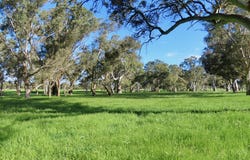 Lot 9 Mount Burr Road, Monbulla, SA 5277