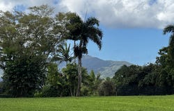 Lot 61, O'Connor Drive, Eubenangee, Qld 4860