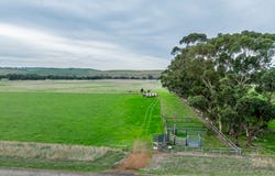 Lot 8 Nolans Road, Henty, Vic 3312