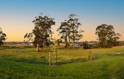 Lot 208/245 Copelands Road, Warragul, Vic 3820