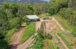 1158 Pinchin Road, The Channon, NSW 2480