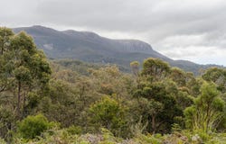 424 Summerleas Road, Kingston, Tas 7050