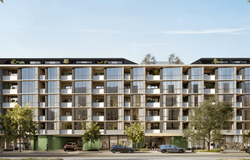16 Challis Street, Dickson, ACT 2602