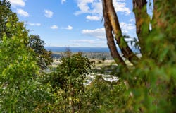 245 Upper Rosemount Road, Rosemount, Qld 4560