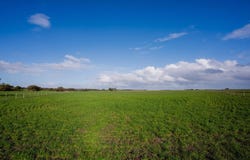 Barn Hill 565 Gordon Road, Meningie East, SA 5264