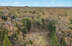 1393 Spring Creek Road, Mudgee, NSW 2850
