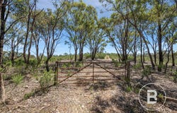 74 Mount Camel-Graytown Road, Graytown, Vic 3608