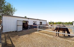 62 Smith Road, Mount Marshall, Qld 4362