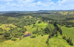 94 Ellinjaa Road, Millaa Millaa, Qld 4886