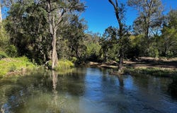 476 Paddys Flat Road, Tabulam, NSW 2469