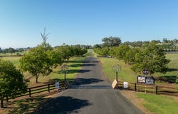 95 Spains Lane, Tamworth, NSW 2340