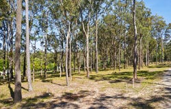 59 Bloodwood Grove, Gulmarrad, NSW 2463