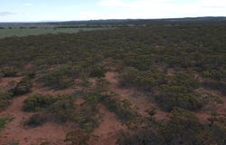 Pine Creek Road, Parnaroo, SA 5422