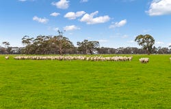 536 Arcadia Two Chain Road, Arcadia South, Vic 3631
