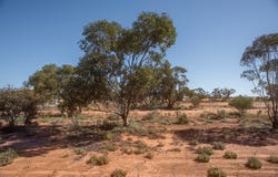 McGregor Road, Mukinbudin, WA 6479