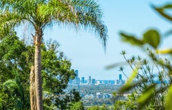 57 Wallaby Drive, Mudgeeraba, Qld 4213