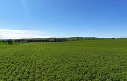 'Riverleigh' 110 Pedler Road, Yacka, SA 5470