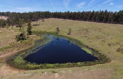 284 Tabulam Road, Lower Bottle Creek, NSW 2469