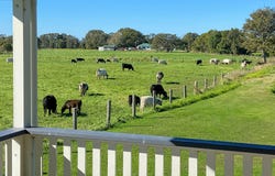 46 Upper Belmore River Road, Belmore River, NSW 2440