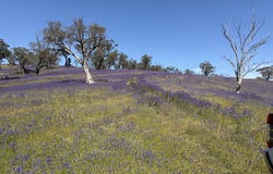 Lot 96 Horrocks Highway, Wilmington, SA 5485