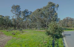Lot 556, 63 Huntington Grove, Thurgoona, NSW 2640