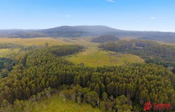 Waratah Road, Waratah, Tas 7321