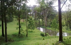 Witheren, Qld 4275