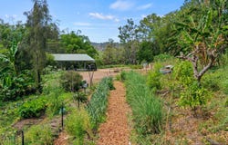 1158 Pinchin Road, The Channon, NSW 2480