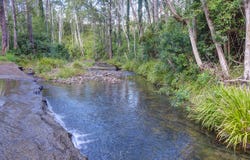1020 Caparra Road, Caparra, NSW 2429