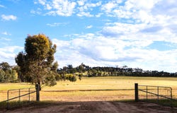 Lot 1, 271 Goughs Range Road, Welshmans Reef, Vic 3462