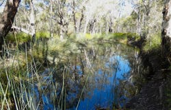 Lot 94 Fernfield Road, Deepwater, Qld 4674