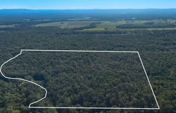 1050 Ellangowan Road, Yorklea, NSW 2470