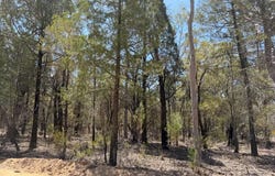 50, Kimberley Drive, Cypress Gardens, Qld 4357