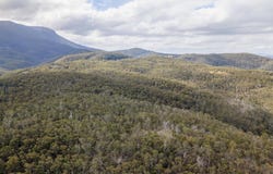 424 Summerleas Road, Kingston, Tas 7050