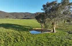 Lot 2/126 Boyes Road, Leneva, Vic 3691
