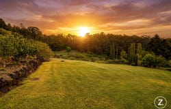 195-275 Kaiser Road, Tamborine Mountain, Qld 4272