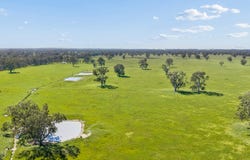 43 Robinson Road, Violet Town, Vic 3669